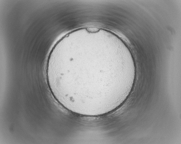 X0000115441248200912020938