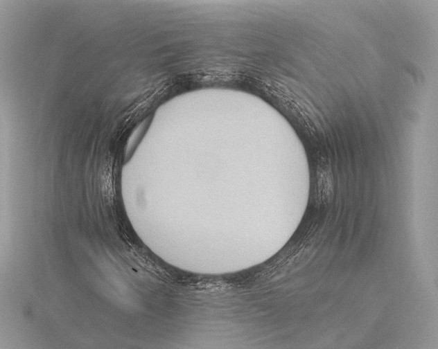 X0000115441250200912020938