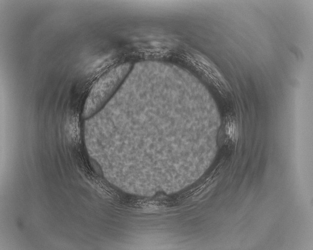 X0000115441252200912020937