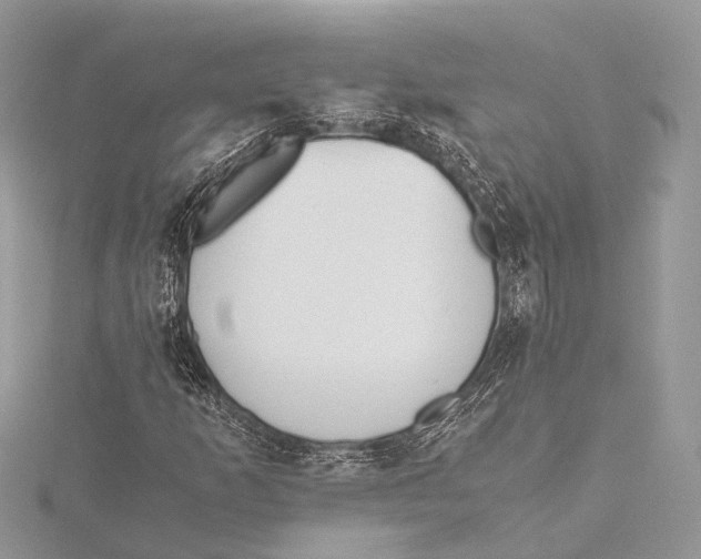 X0000115441253200912020937