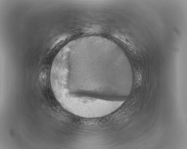 X0000115441254200912020937