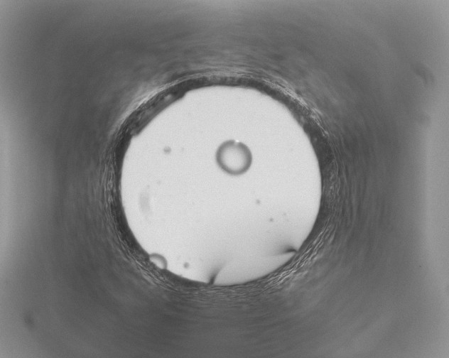 X0000115441255200912020937