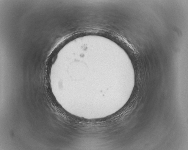 X0000115441256200912020937