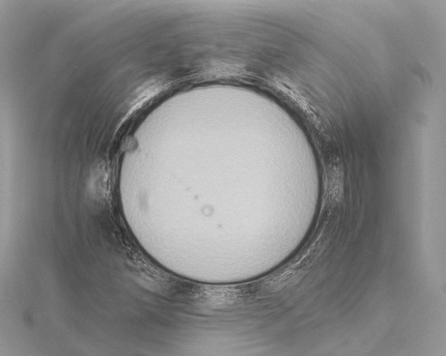 X0000115441258200912020937