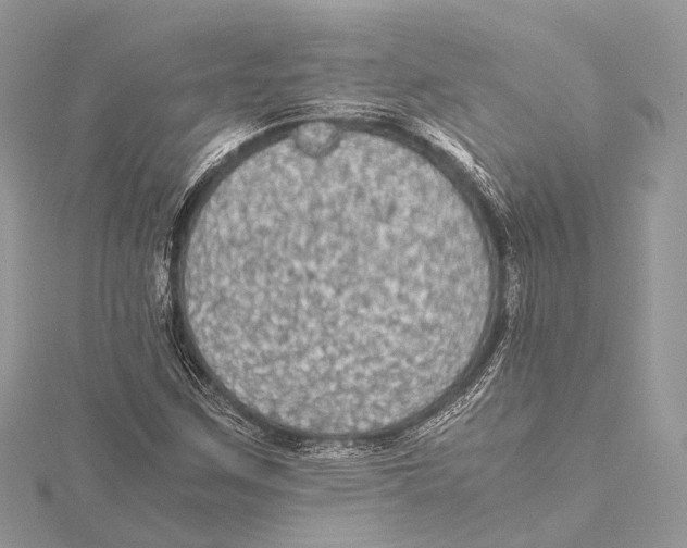 X0000115441259200912020937