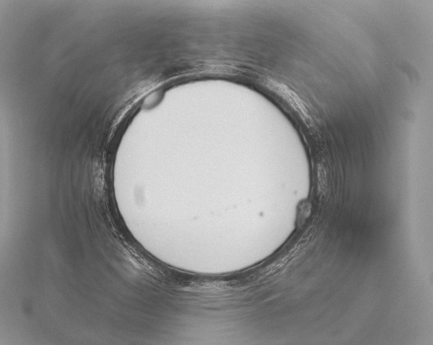 X0000115441260200912020937