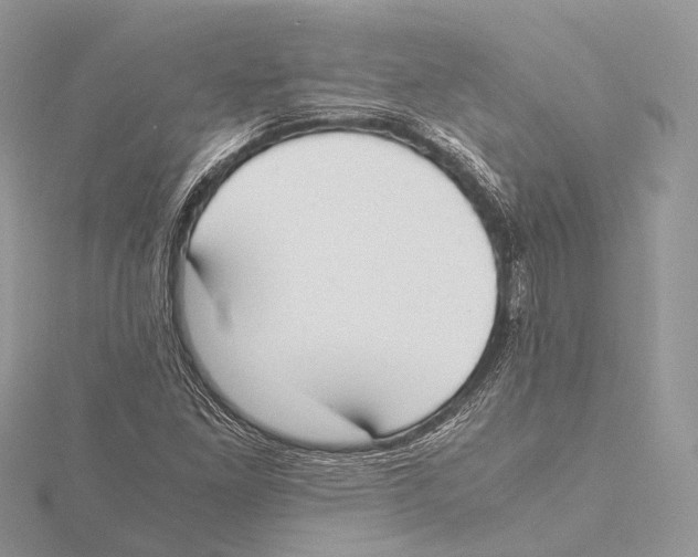 X0000115441261200912020937