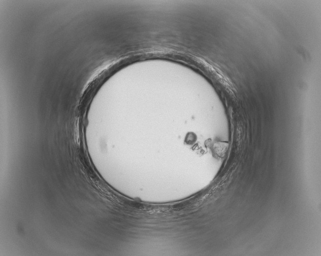 X0000115441262200912020937