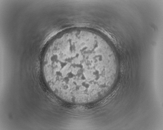 X0000115441263200912020937