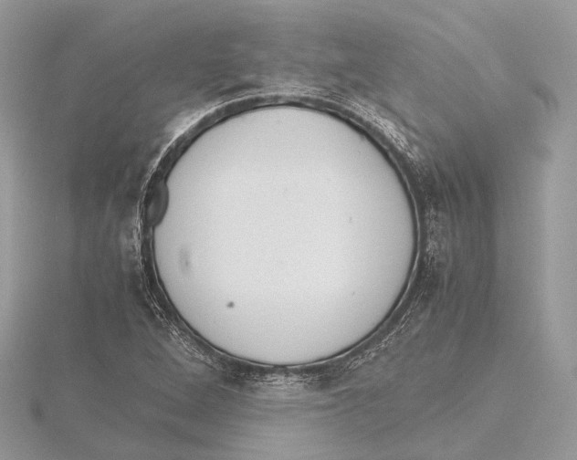 X0000115441264200912020937