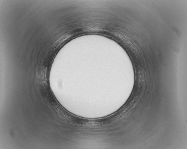 X0000115441265200912020937