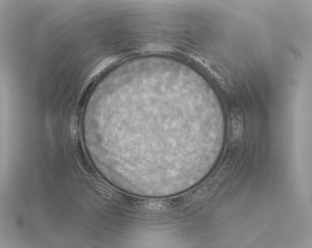 X0000115441266200912020937