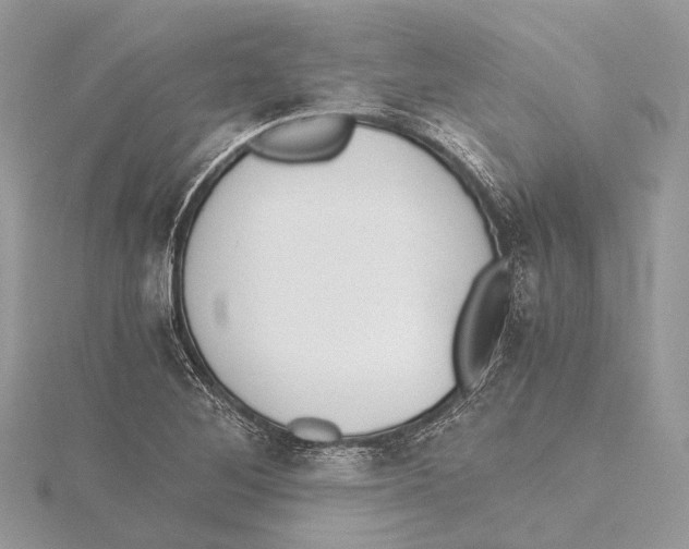 X0000115441268200912020937