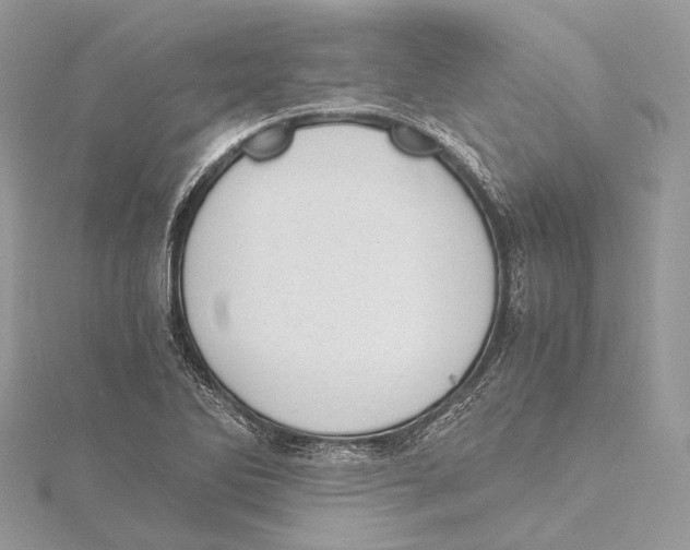 X0000115441270200912020937