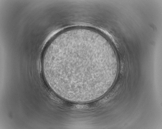 X0000115441271200912020937