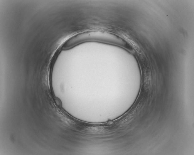 X0000115441272200912020937