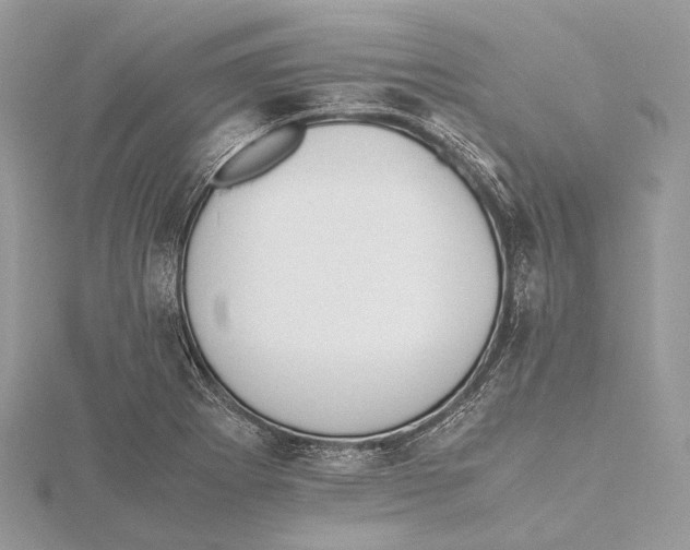 X0000115441273200912020937