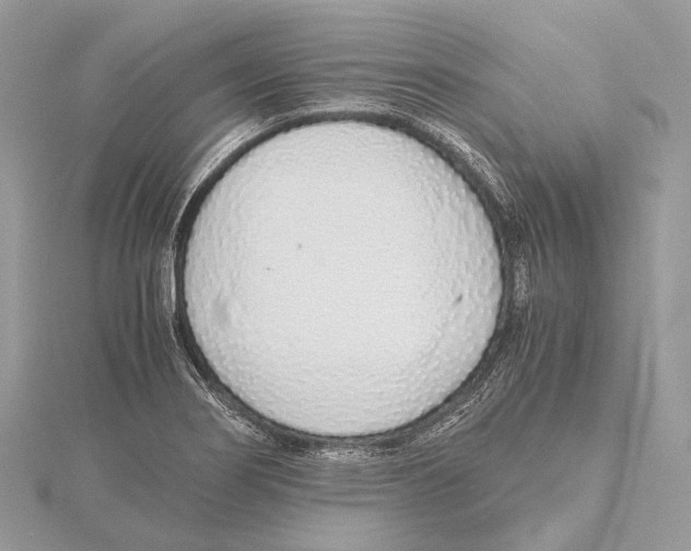 X0000115441274200912020937