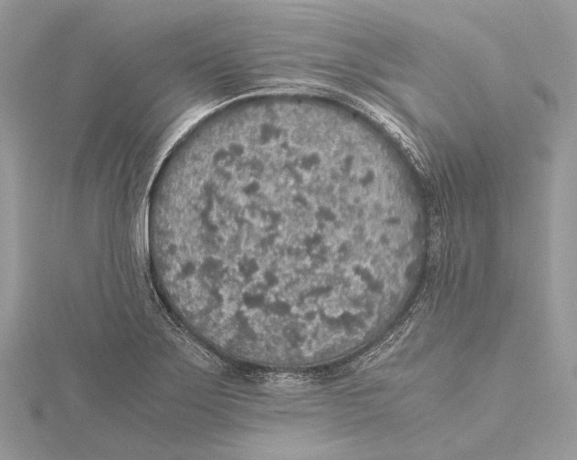 X0000115441275200912020937