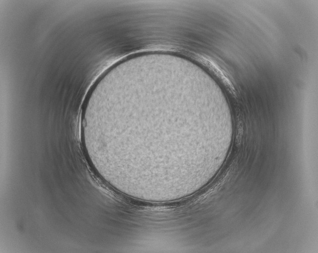 X0000115441276200912020937