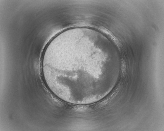 X0000115441278200912020937