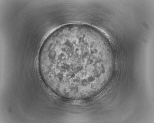 X0000115441279200912020937