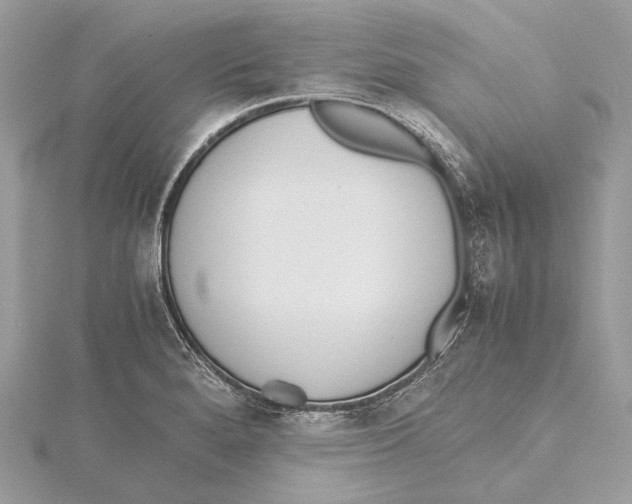 X0000115441280200912020937