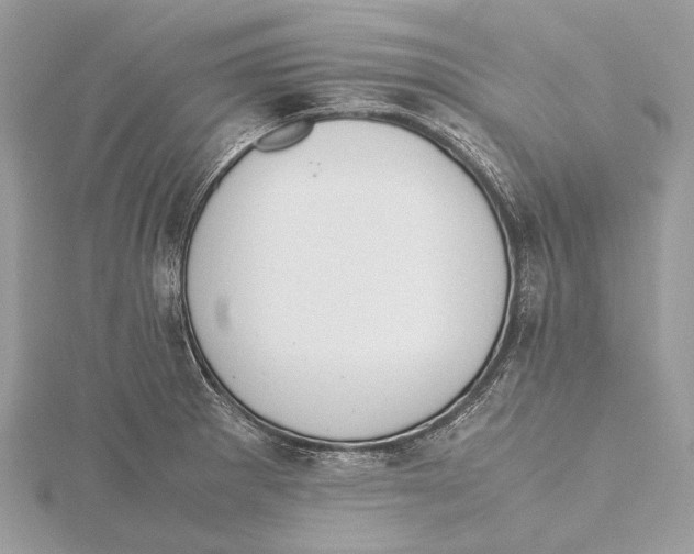 X0000115441281200912020937