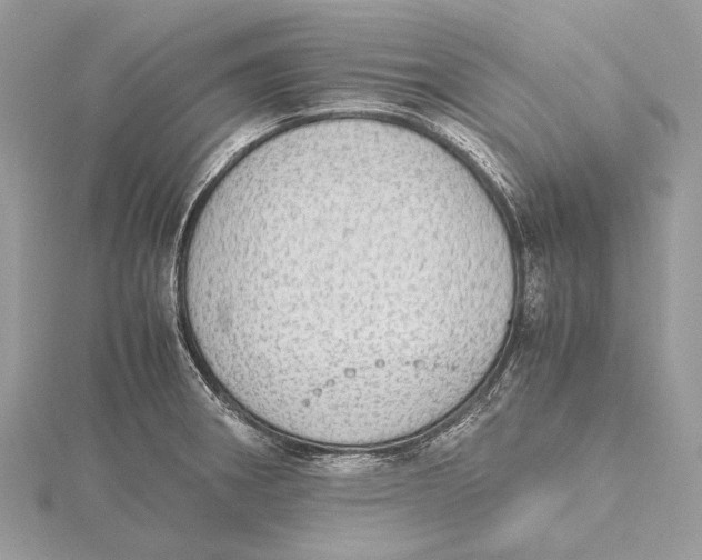 X0000115441282200912020937