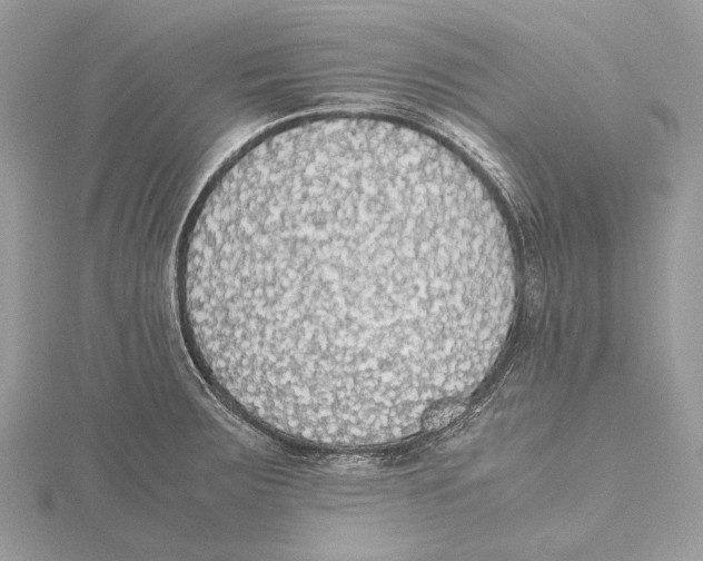 X0000115441283200912020937