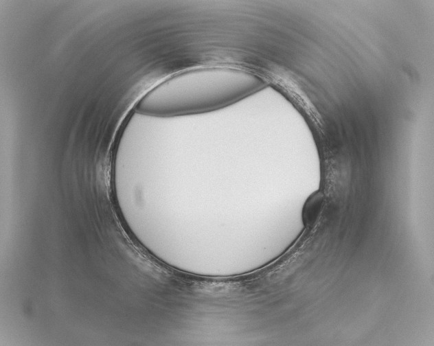 X0000115441284200912020937