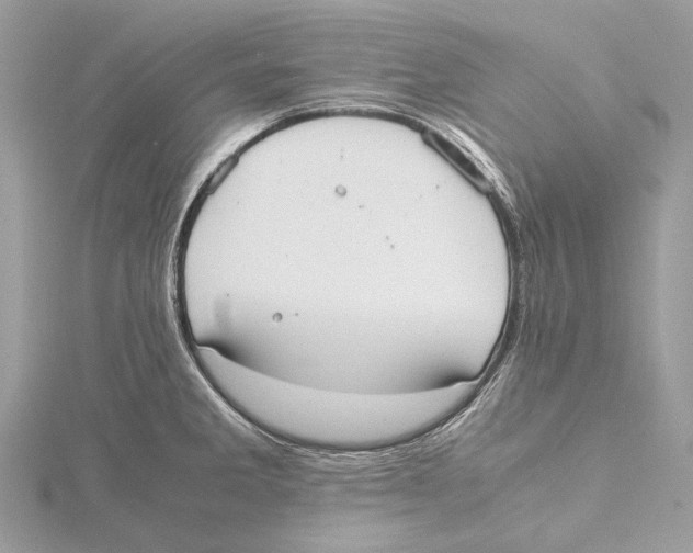 X0000115441285200912020937