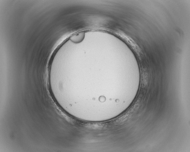 X0000115441286200912020937