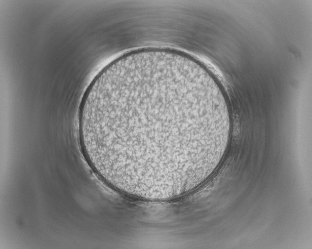 X0000115441287200912020937