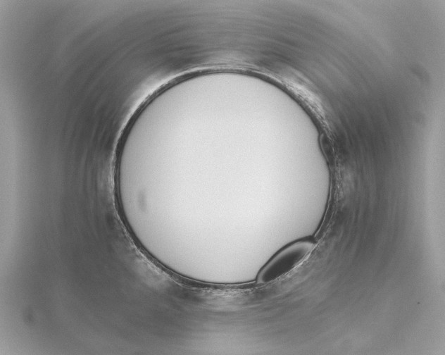 X0000115441288200912020937