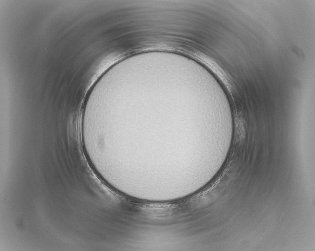 X0000115441290200912020937