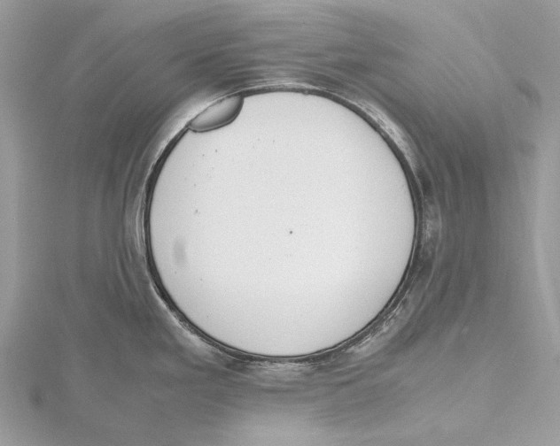 X0000115441293200912020937