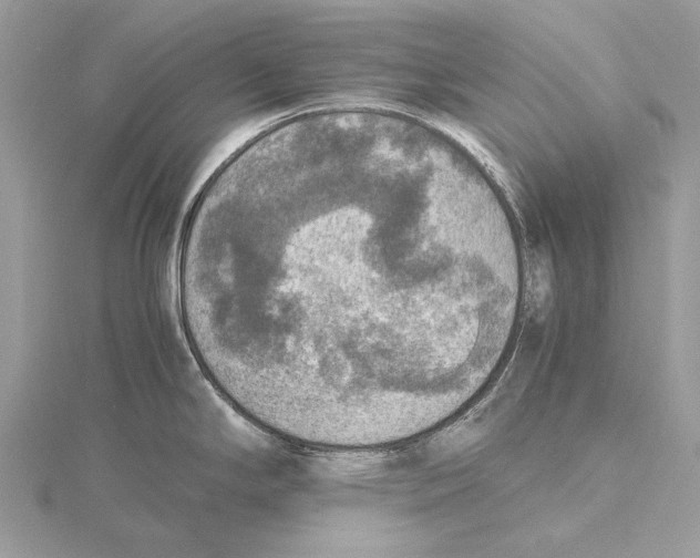 X0000115441294200912020937