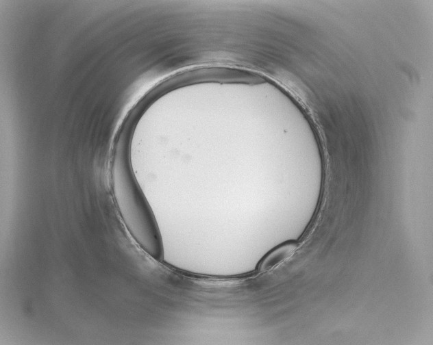 X0000115441296200912020937