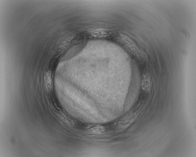 X0000115441298200912020936