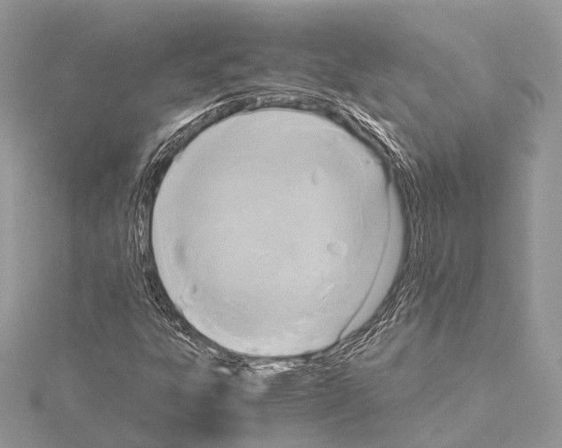 X0000115441303200912020936