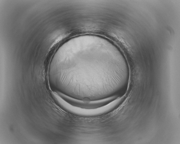 X0000115441306200912020936