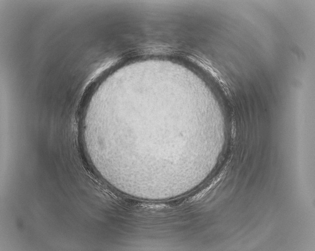 X0000115441309200912020936