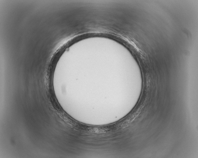 X0000115441311200912020936