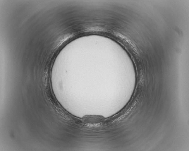 X0000115441313200912020937