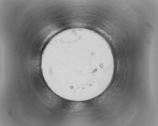 X0000115441314200912020937