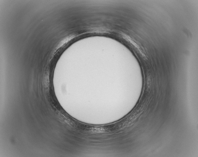 X0000115441315200912020937