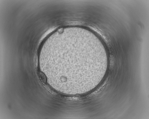 X0000115441317200912020937