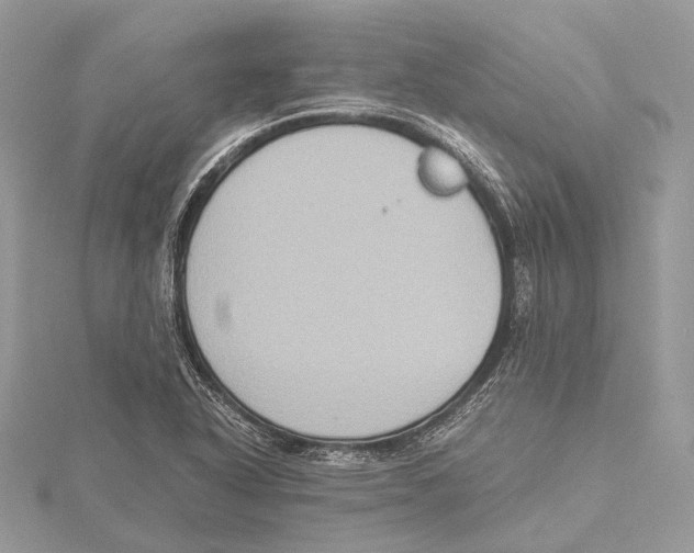 X0000115441318200912020937