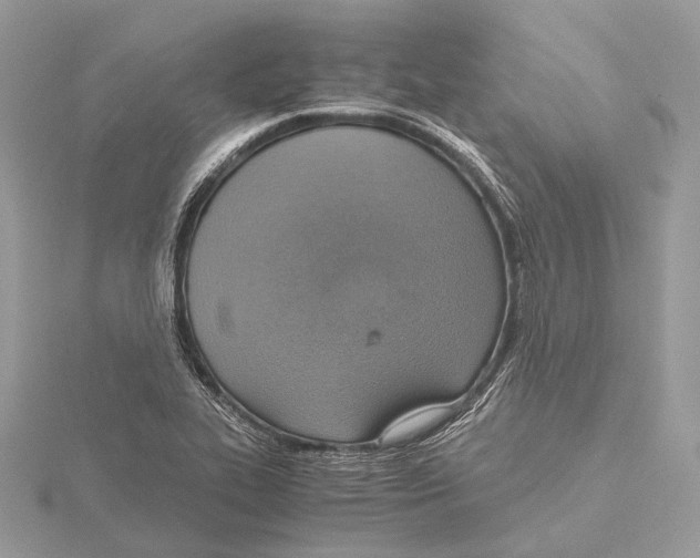 X0000115441319200912020937